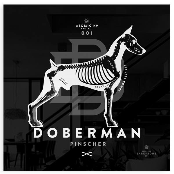 Doberman Pinscher xR&D Acrylic Panel