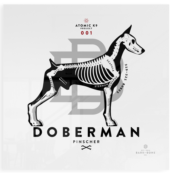 Doberman Pinscher xR&D Acrylic Panel