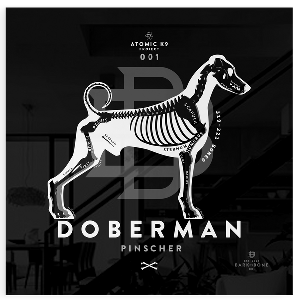 Doberman Pinscher xR&D Acrylic Panel