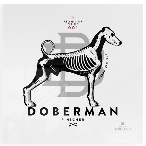 Doberman Pinscher xR&D Acrylic Panel