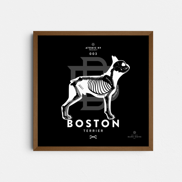 Boston Terrier Bone Print - Digital File Only