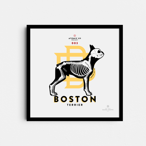 Boston Terrier Bone Print - Digital File Only