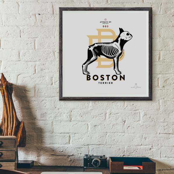 Boston Terrier Bone Print - Digital File Only