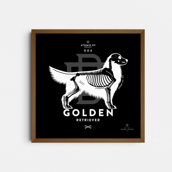 Golden Retriever Bone Print - 12" x 12"