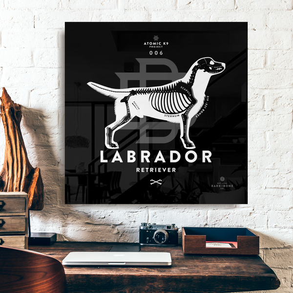 Labrador xR&D Acrylic Panel