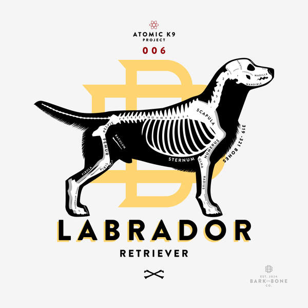Labrador Retriever Bone Print - 12" x 12"