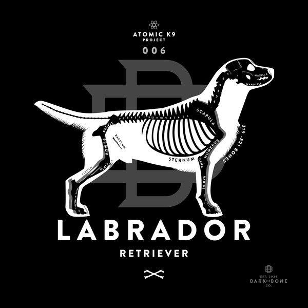 Labrador Retriever Bone Print - 12" x 12"