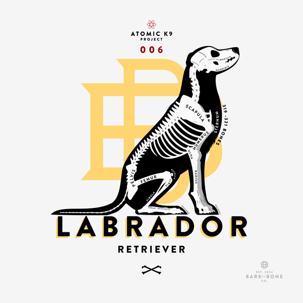 Labrador Retriever Bone Print - Digital File Only