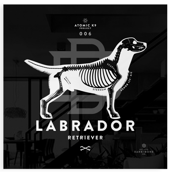 Labrador xR&D Acrylic Panel
