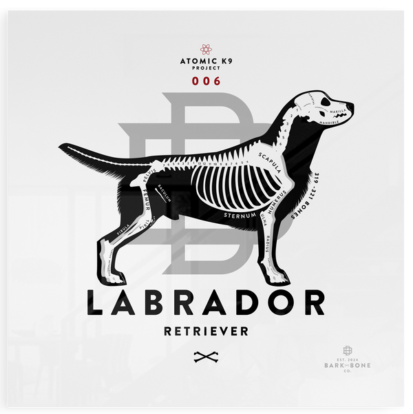 Labrador xR&D Acrylic Panel