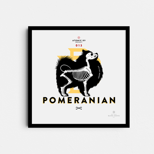 Pomeranian Bone Print - Digital File Only