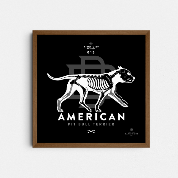 American Pit Bull Terrier Bone Print- 12" x 12"