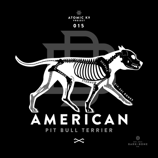 American Pit Bull Terrier Bone Print- 12" x 12"