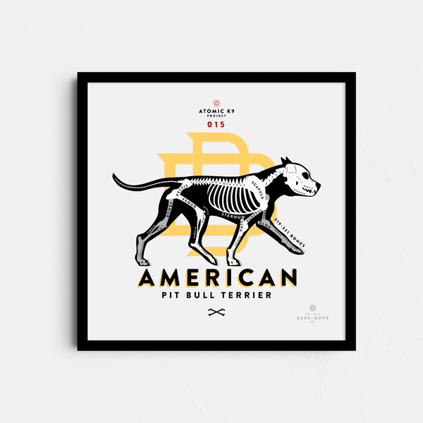 American Pit Bull Terrier Bone Print- 12" x 12"