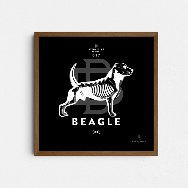 Beagle Bone Print- 12" x 12"