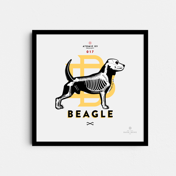 Beagle Bone Print- 12" x 12"