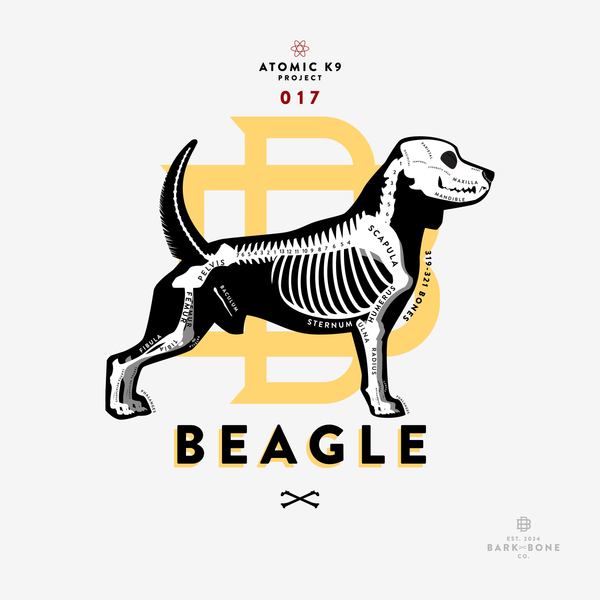 Beagle Bone Print- 12" x 12"