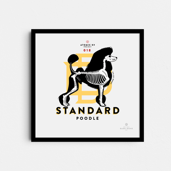 Standard Poodle Bone Print - Digital File Only