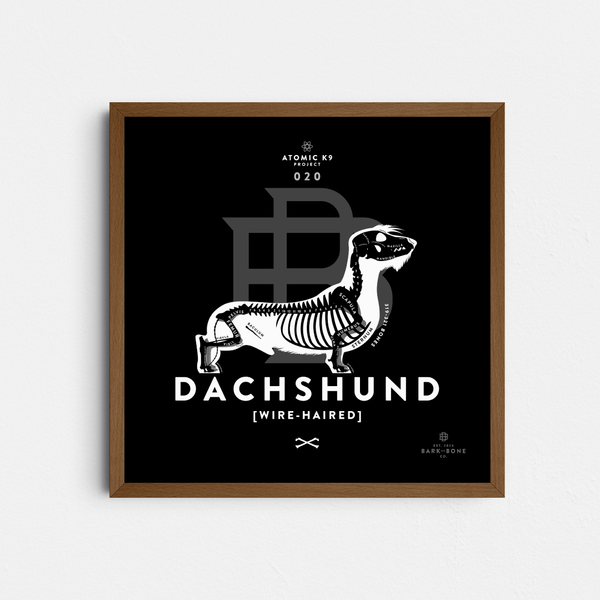 Dachshund Bone Print - 12" x 12"