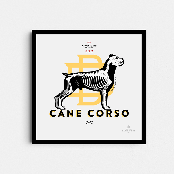 Cane Corso Bone Print - 12" x 12"