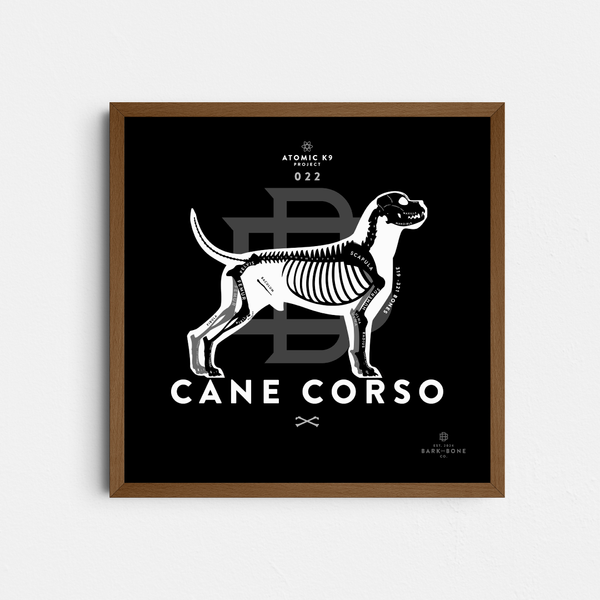 Cane Corso Bone Print - 12" x 12"