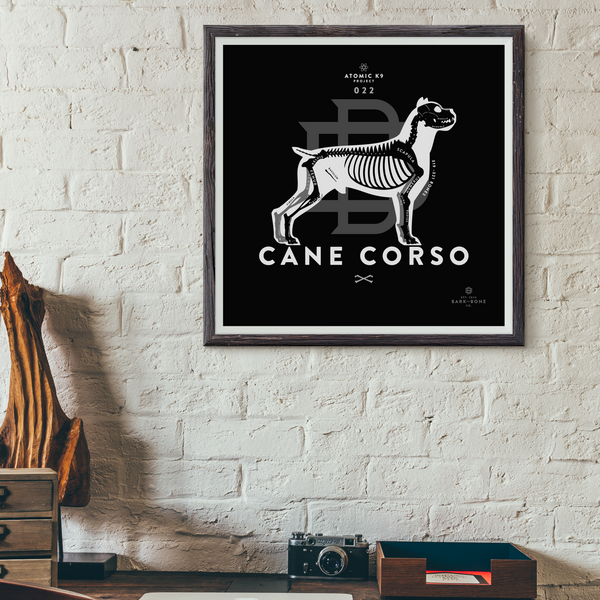 Cane Corso Bone Print - 12" x 12"