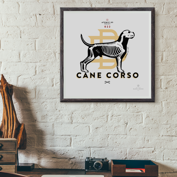 Cane Corso Bone Print - 12" x 12"