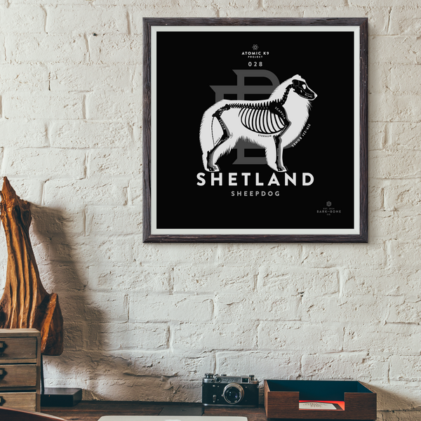 Shetland Sheepdog Bone Print- 12" x 12"