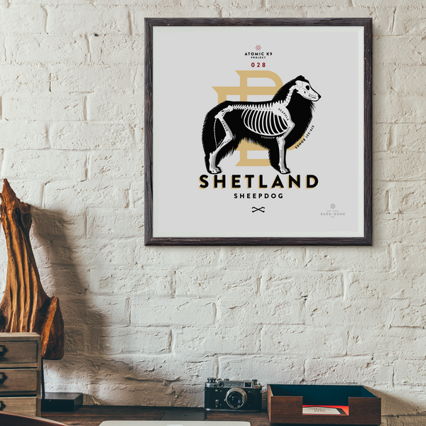 Shetland Sheepdog Bone Print- 12" x 12"