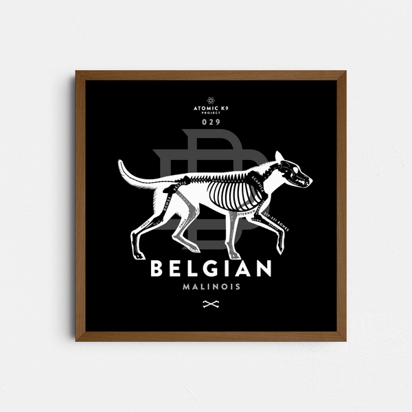 Belgian Malinois Bone Print- 12" x 12"