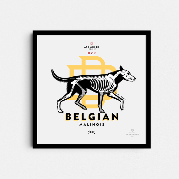 Belgian Malinois Bone Print- 12" x 12"