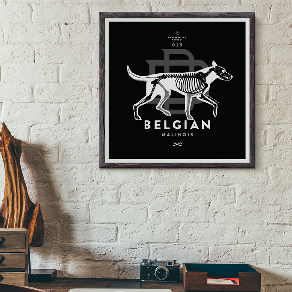 Belgian Malinois Bone Print- 12" x 12"