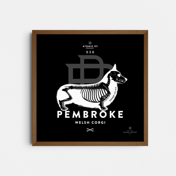 Pembroke Welsh Corgi Bone Print- 12" x 12"