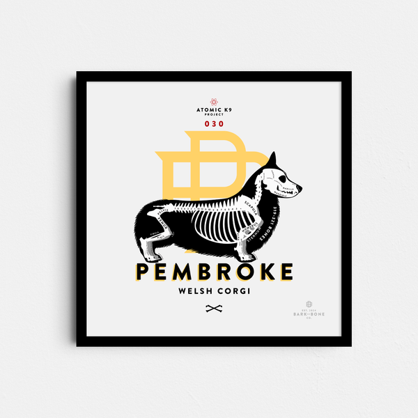 Pembroke Welsh Corgi Bone Print- 12" x 12"