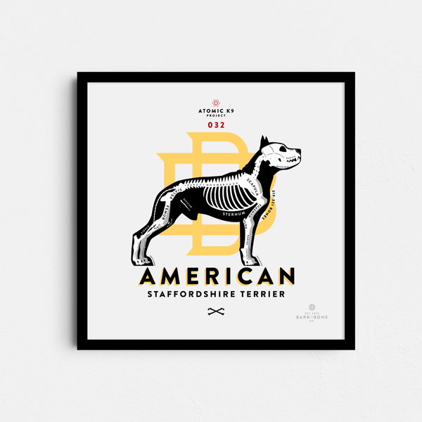 American Staffordshire Terrier Bone Print- 12" x 12"