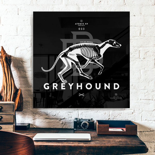 Greyhound xR&D Acrylic Panel