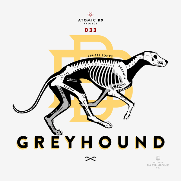 Greyhound Bone Print - Digital File Only