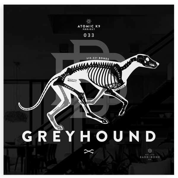 Greyhound xR&D Acrylic Panel