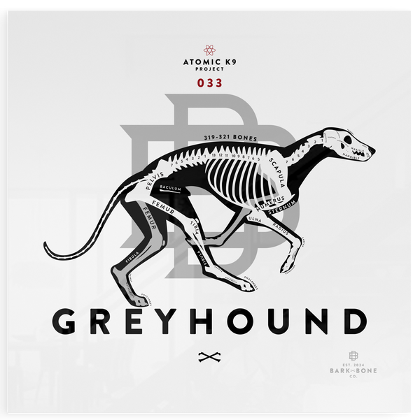 Greyhound xR&D Acrylic Panel
