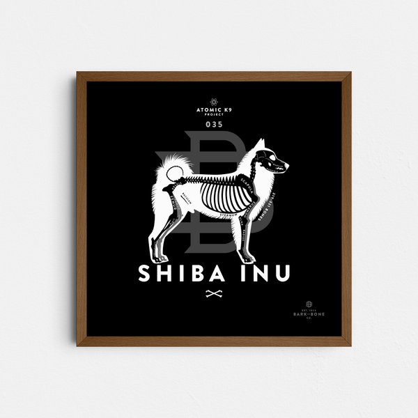 Shiba Inu Bone Print- 12" x 12"