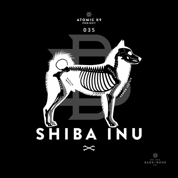 Shiba Inu Bone Print- 12" x 12"