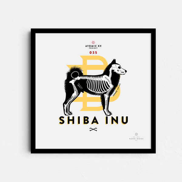 Shiba Inu Bone Print- 12" x 12"