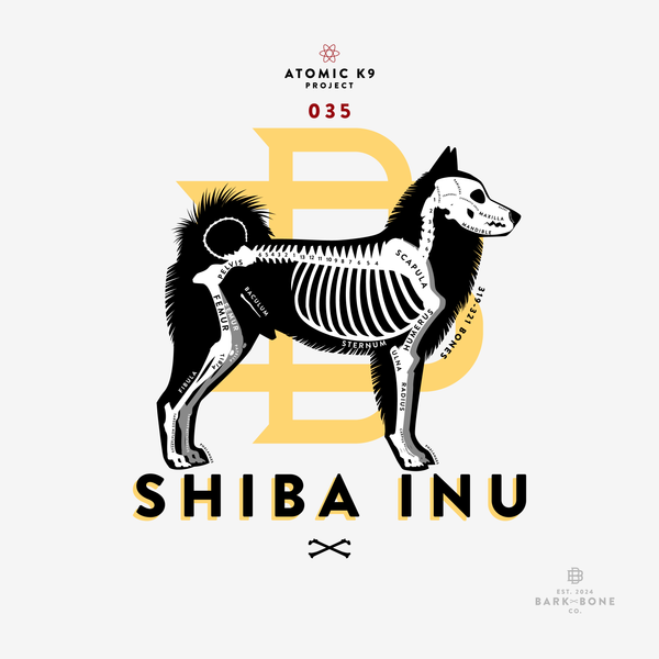 Shiba Inu Bone Print- 12" x 12"