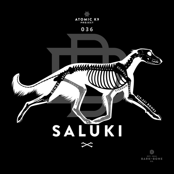 Saluki Bone Print - Digital File Only