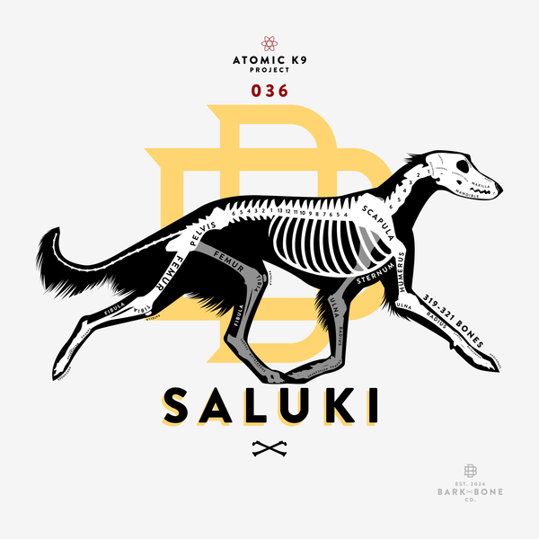 Saluki Bone Print - Digital File Only