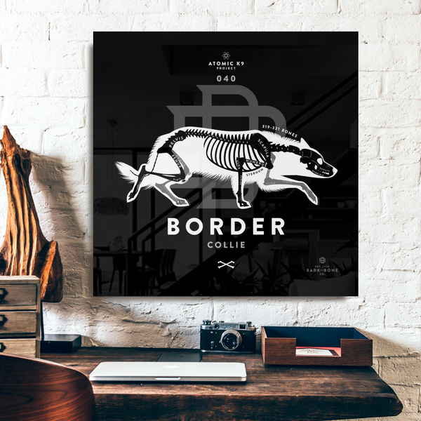 Border Collie xR&D Acrylic Panel