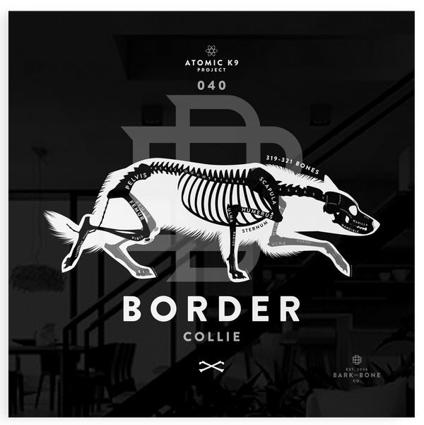 Border Collie xR&D Acrylic Panel