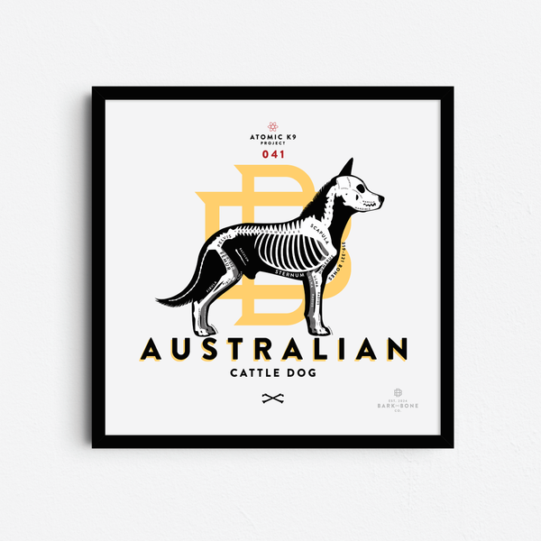 Australian Cattle Dog Bone Print - Digital File Only