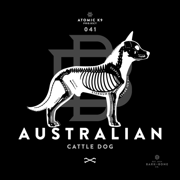 Australian Cattle Dog Bone Print - Digital File Only