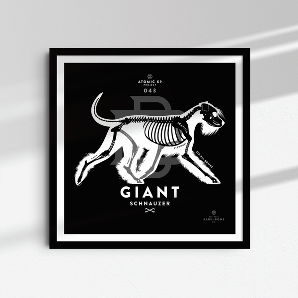 Giant Schnauzer Bone Print - Digital File Only